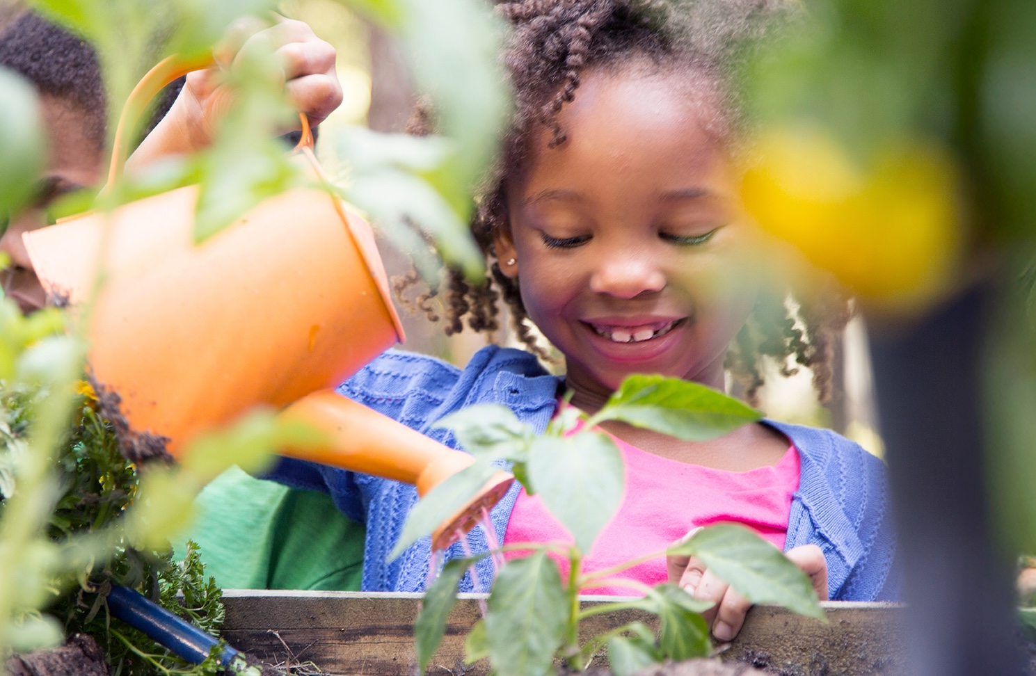 A child peering over growing plants